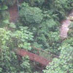 Agencia Turismo Indigena - Arenal Puentes colgantes1