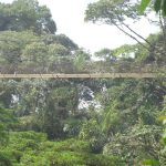 Agencia Turismo Indigena - Arenal Puentes colgantes4