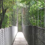 Agencia Turismo Indigena - Arenal Puentes colgantes5