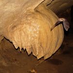 Agencia Turismo Indigena - Cavernas El Venado23