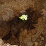 Agencia Turismo Indigena - Cavernas El Venado36