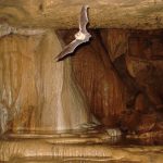 Agencia Turismo Indigena - Cavernas El Venado37