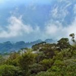 Agencia Turismo Indigena - Puentes Colgantes20