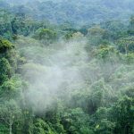 Agencia Turismo Indigena - Puentes Colgantes22