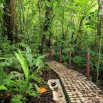 Agencia Turismo Indigena - Puentes Colgantes23