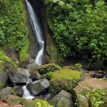 Agencia Turismo Indigena - Puentes Colgantes24