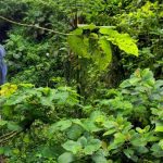 Agencia Turismo Indigena - Puentes Colgantes25