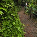 Agencia Turismo Indigena - Puentes Colgantes26