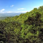 Agencia Turismo Indigena - Puentes Colgantes28