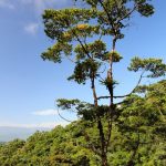 Agencia Turismo Indigena - Puentes Colgantes29