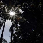 Agencia Turismo Indigena - Puentes Colgantes33