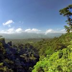 Agencia Turismo Indigena - Puentes Colgantes38