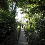 Agencia Turismo Indigena - Puentes Colgantes6