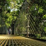 Agencia Turismo Indigena - Puentes Colgantes9