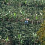 Agencia Turismo Indigena - canopy18