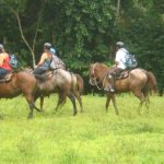 Turismo Indigena Arenal Cabalgata y Catarata9