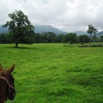 Turismo Indigena - Arenal Cabalgata y catarata22