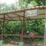 Turismo Indigena - Arenal Cabalgata y catarata25