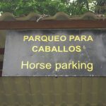 Turismo Indigena - Arenal Cabalgata y catarata29