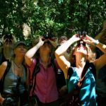 Turismo Indigena - Observacion de aves34