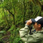 Turismo Indigena - Observacion de aves52