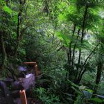 Turismo Indigena - eco-cascada La Fortuna16