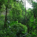Turismo Indigena - eco-cascada La Fortuna17