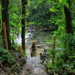 Turismo Indigena - eco-cascada La Fortuna2