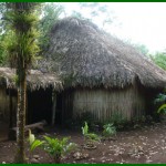 malekusrancho