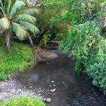 rio el sol1
